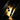 Two black fountain pens with gold accents on a dark background