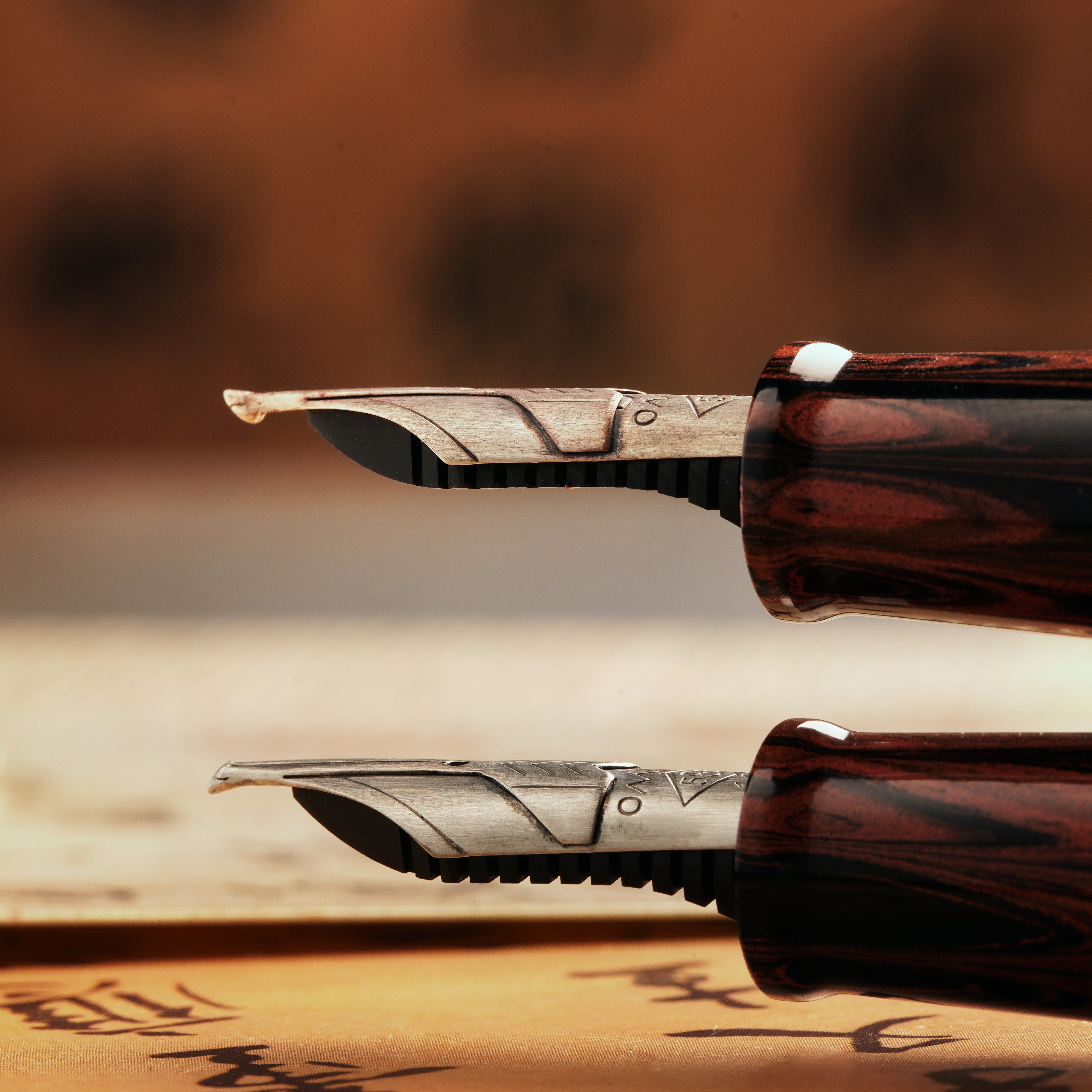 OMAS Paragon Calligraphia Fountain Pen